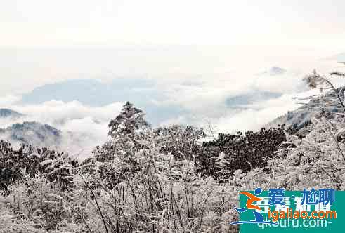 西岭雪山夏天适合去吗 西岭雪山夏季游玩攻略？