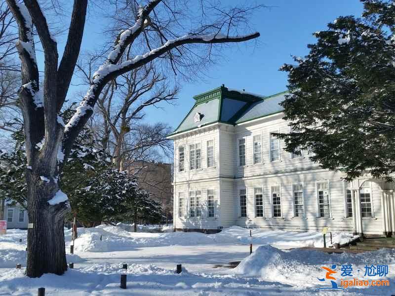 北海道大学可以观光吗？北海道大学值得去吗？北海道大学观光指南？