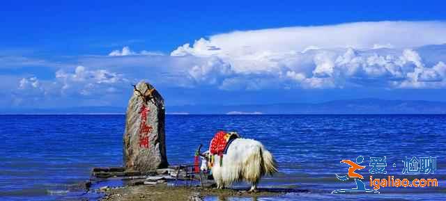 青海湖自驾要准备什么，青海湖自驾注意事项？