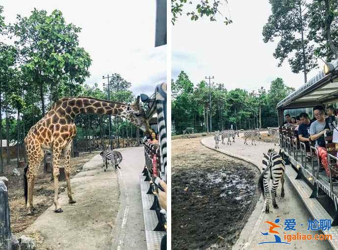 清迈什么好玩的？清迈有哪些旅游景点？清迈景点排行榜？