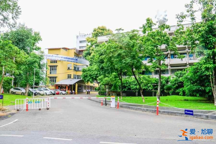 清迈旅游注意事项，清迈旅游小贴士，清迈旅游需要注意什么？
