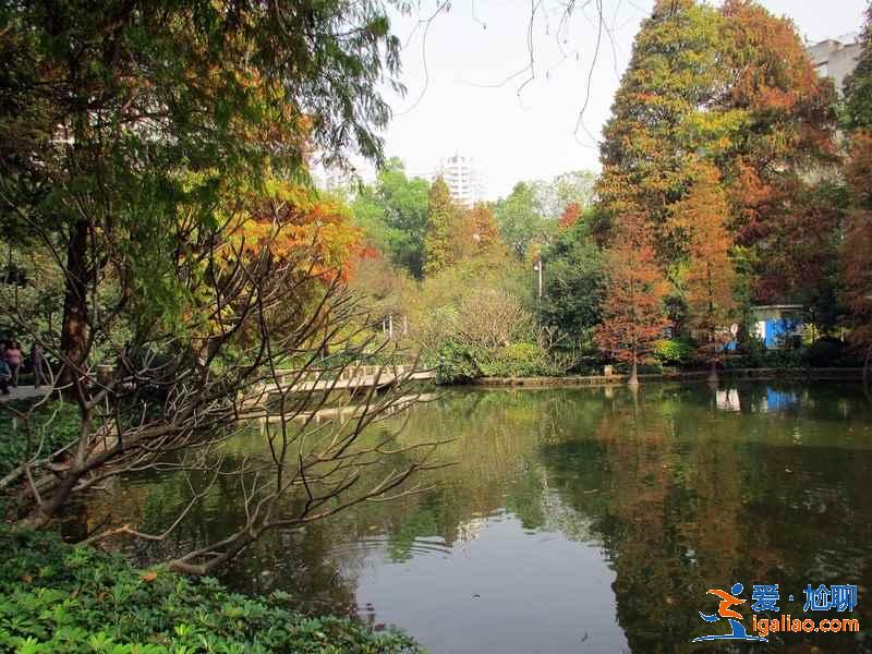广州黄花岗公园好玩吗，广州黄花岗公园有什么好玩的，广州黄花岗公园有什么景点？