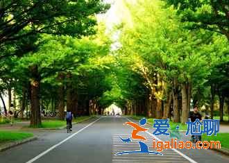 北海道亲子游怎么玩,北海道亲子游路线推荐,北海道亲子游攻略? 北海道亲子游怎么玩,北海道亲子游路线推荐,北海道亲子游攻略?