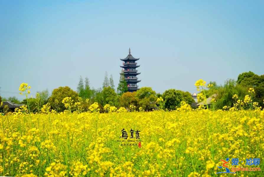 上海周末周边游推荐，上海出发高铁一小时可以到的城市有哪些，上海短途周边游城市推荐？