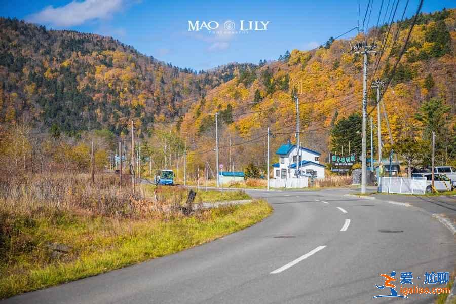 北海道哪些地方适合旅拍？北海道旅拍好去处大盘点？