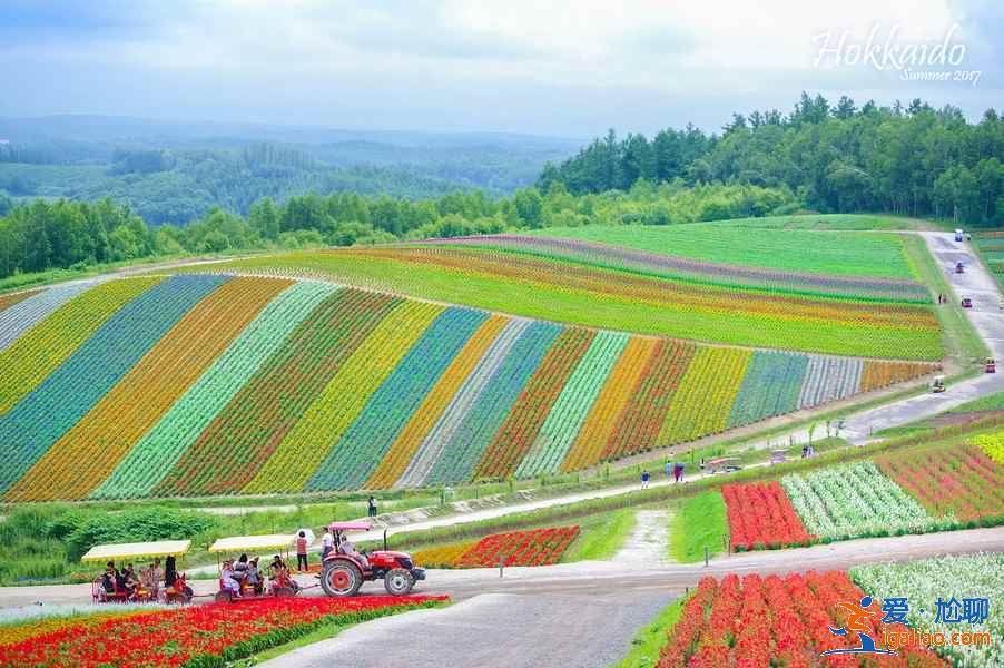 北海道哪些地方适合旅拍？北海道旅拍好去处大盘点？