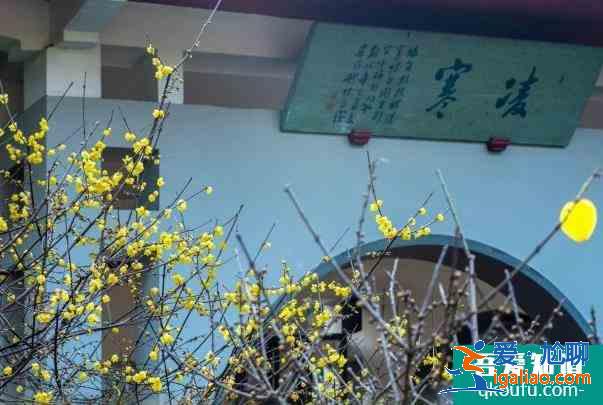 2022无锡梅园梅花开了吗 具体开放时间？