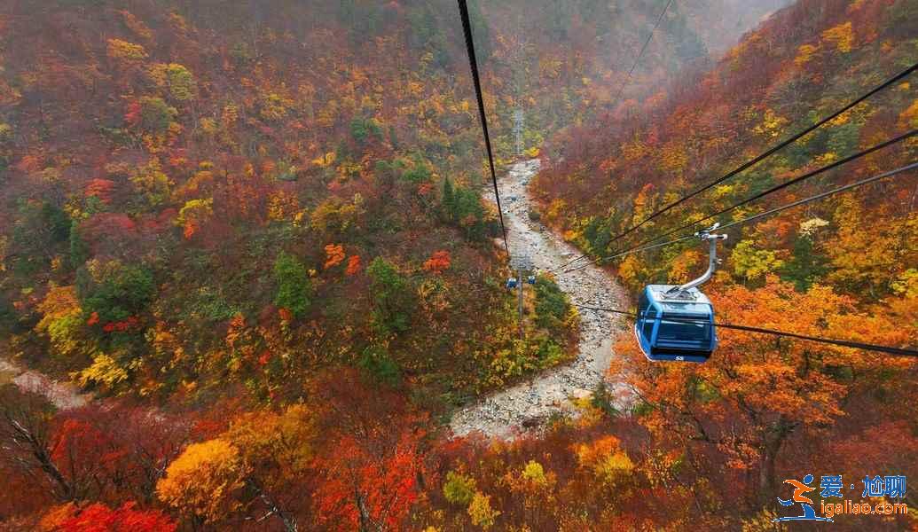 北海道哪些地方适合旅拍？北海道旅拍好去处大盘点？