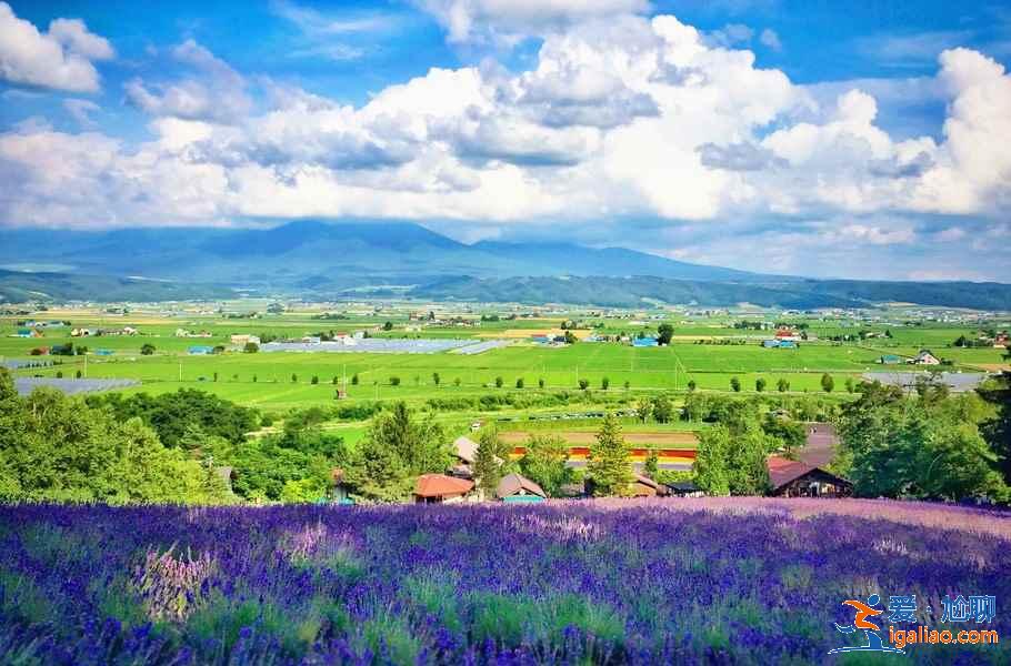 北海道哪些地方适合旅拍？北海道旅拍好去处大盘点？