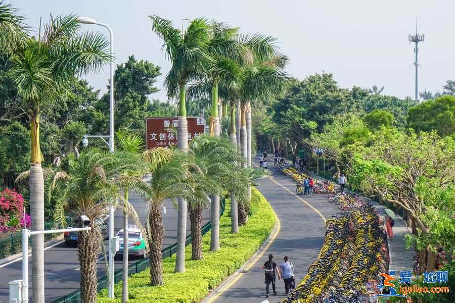 厦门必游景点有哪些，厦门热门打卡景点盘点，厦门旅游攻略？