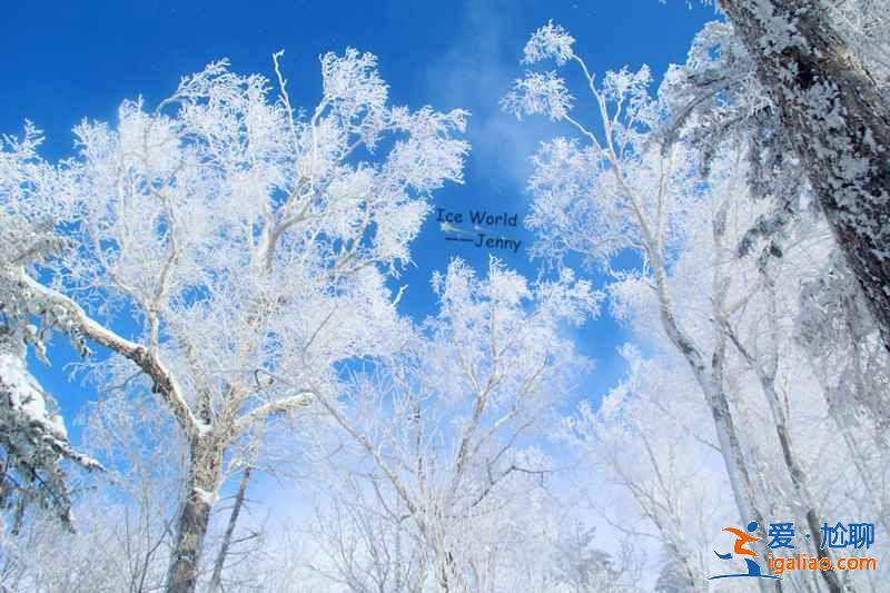 哈尔滨到东升林场（雪谷）交通，哈尔滨到东升林场怎么去？