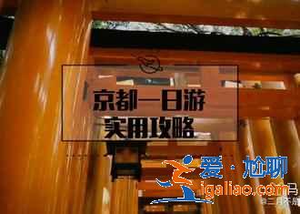 只有搞定日本交通，才敢日本自由行！？