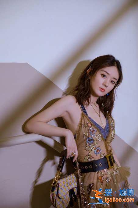 白玉兰名单出炉,赵丽颖凭借《知否》再度提名 白玉兰名单出炉,赵丽颖凭借《知否》再度提名