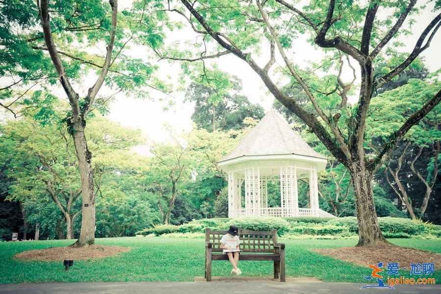 新加坡旅游注意事项（购物、货币、天气）？