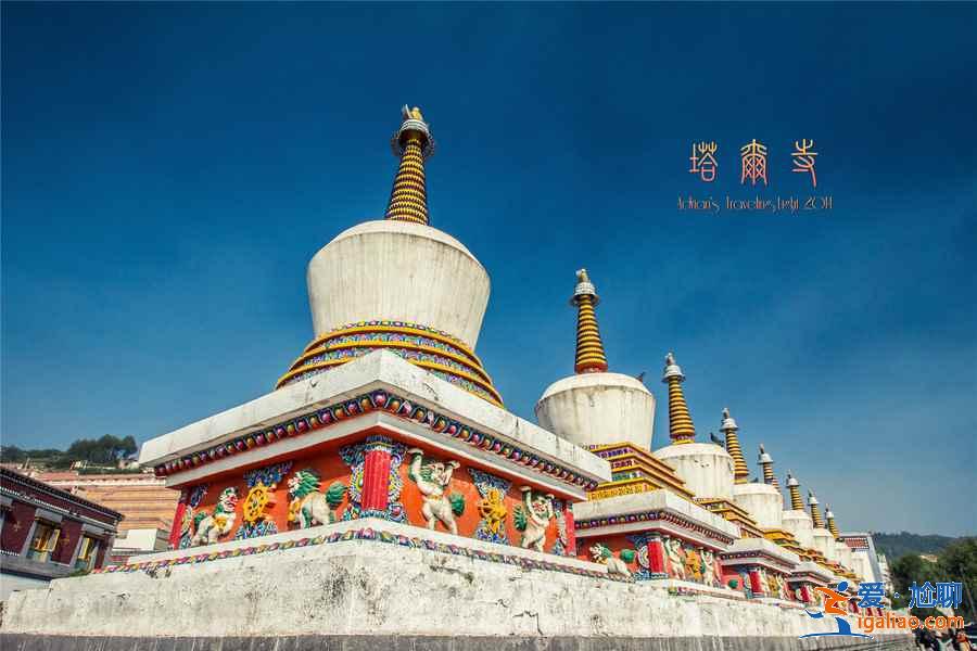 六月青海湖哪里好玩，六月青海湖有哪些好玩的地方，青海湖六月旅游好去处？