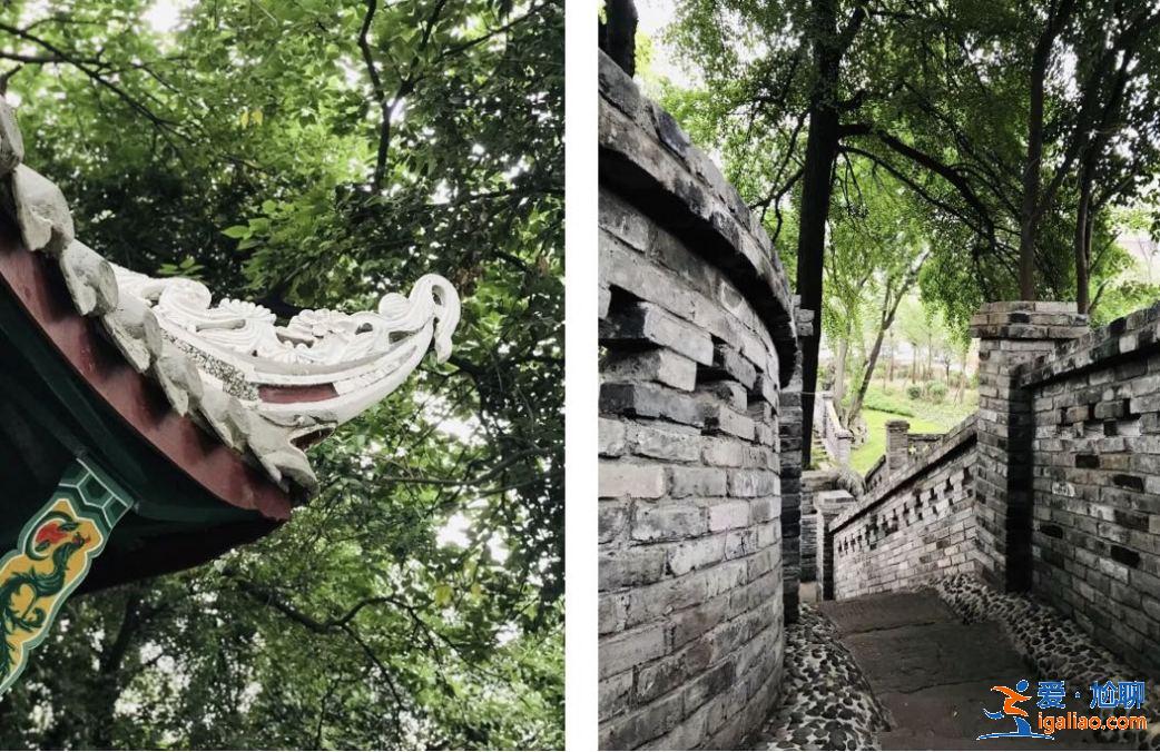 乱逛 &#124; 西珠市街42号，露天停车场旁的园子让人惊艳