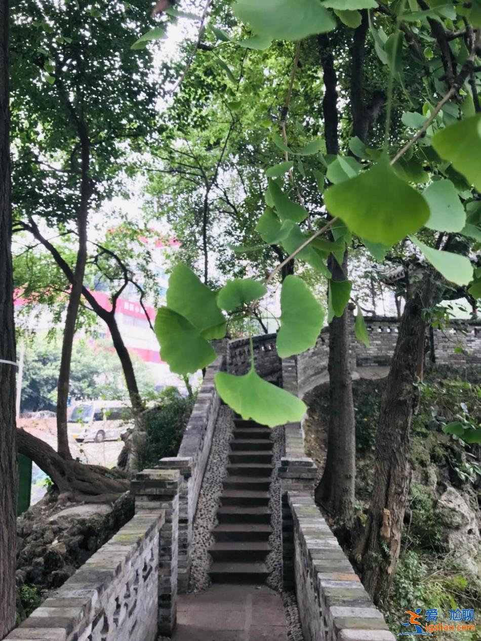 乱逛 &#124; 西珠市街42号，露天停车场旁的园子让人惊艳