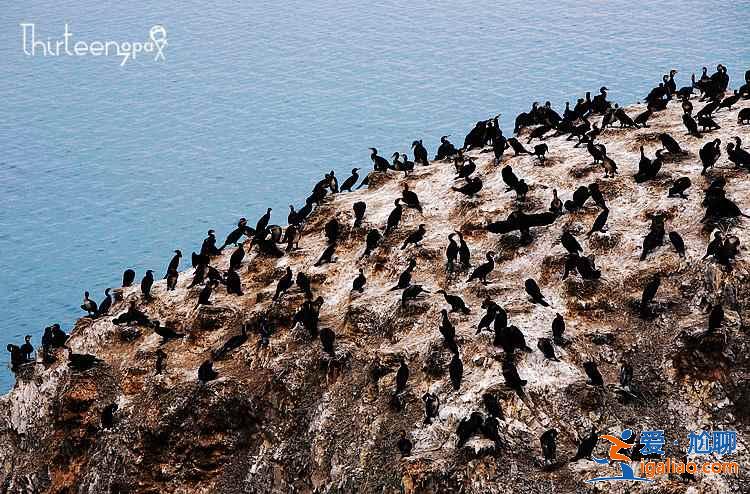 环青海湖骑行需要几天，青海湖骑行路线推荐，青海湖骑行攻略？