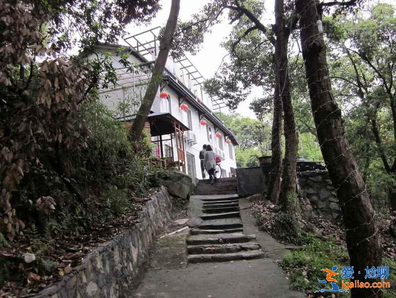 杭州特色青旅有哪些？杭州有什么特色青旅？杭州特色青旅客栈推荐？