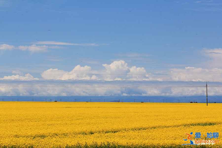 青海湖自驾游路线,青海湖自驾游攻略,青海湖自驾游怎么玩? 青海湖自驾游路线,青海湖自驾游攻略,青海湖自驾游怎么玩?