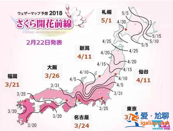 2018日本樱花花期预测，日本东京赏樱全攻略？