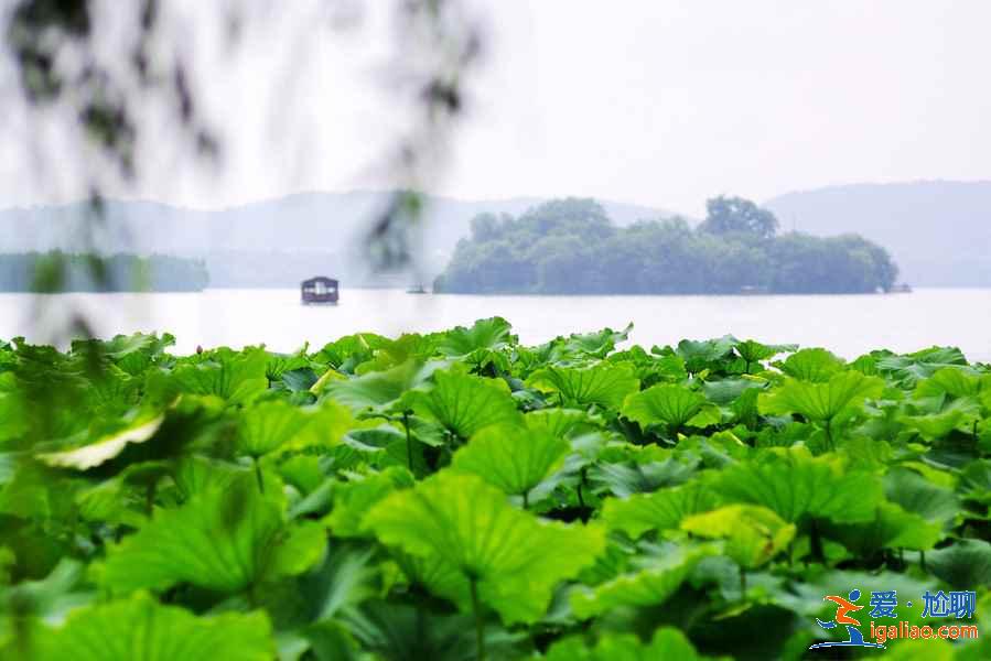 杭州有哪些著名景点，杭州热门打卡景点，杭州旅游攻略？
