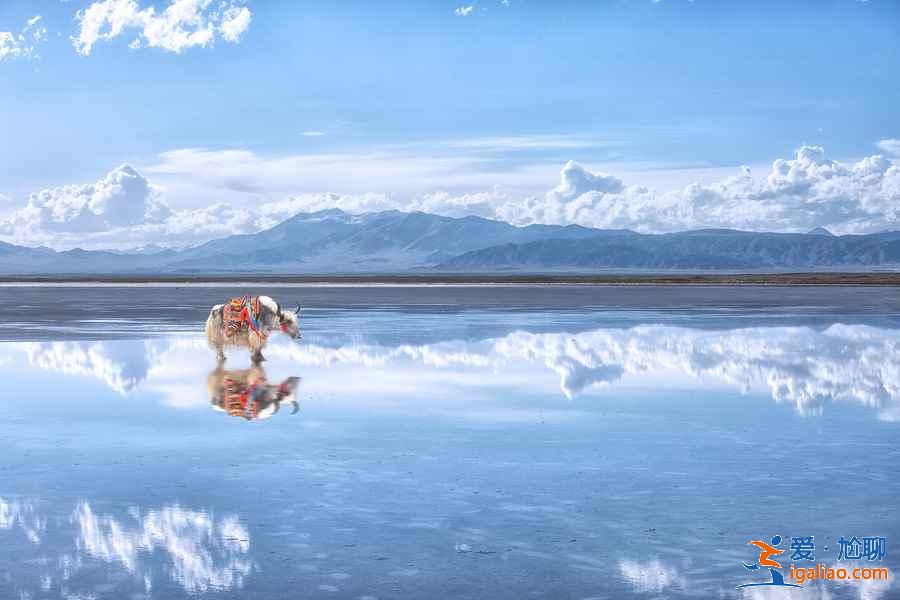 几月去青海湖最好，青海湖什么季节去最好？