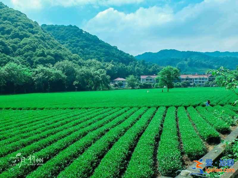 杭州有哪些小众景点,杭州小众景点好玩吗,杭州小众景点在哪? 杭州有哪些小众景点,杭州小众景点好玩吗,杭州小众景点在哪?