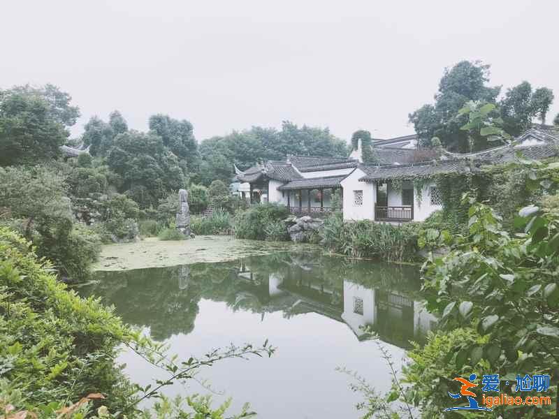 杭州西溪湿地怎么玩，杭州西溪湿地怎么玩比较好，杭州西溪湿地游玩攻略？