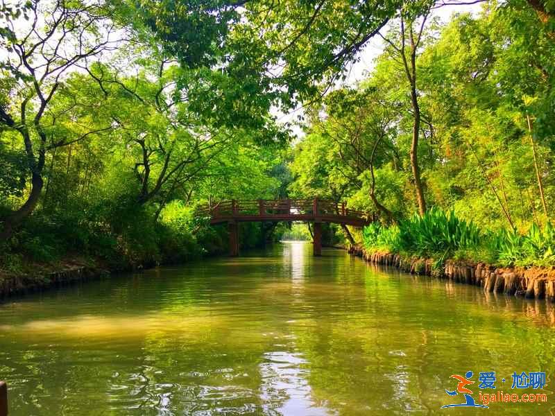 杭州西溪湿地怎么玩，杭州西溪湿地怎么玩比较好，杭州西溪湿地游玩攻略？