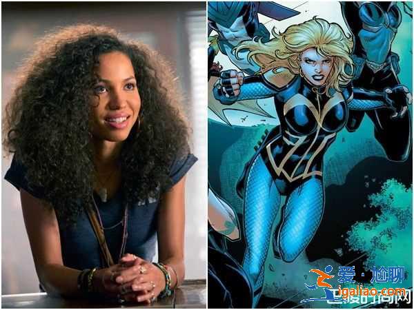 DC《猛禽小队》代替蝙蝠侠？公开黑金丝雀女猎人选角？