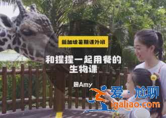 去新加坡不能错过的景点，狮城必去！？