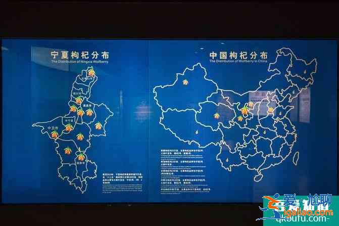 宁夏自驾游攻略及花费介绍 这份6日游路线很经典？