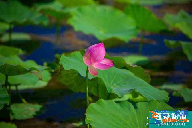 宁夏自驾游攻略及花费介绍 这份6日游路线很经典？