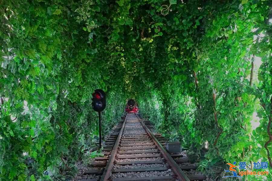 【南京爱情隧道】南京江宁爱情隧道怎么走，南京爱情隧道地址？
