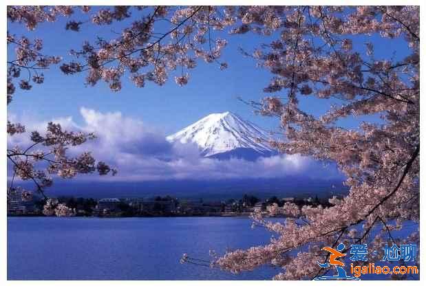如何去富士山，东京到富士山要多久？