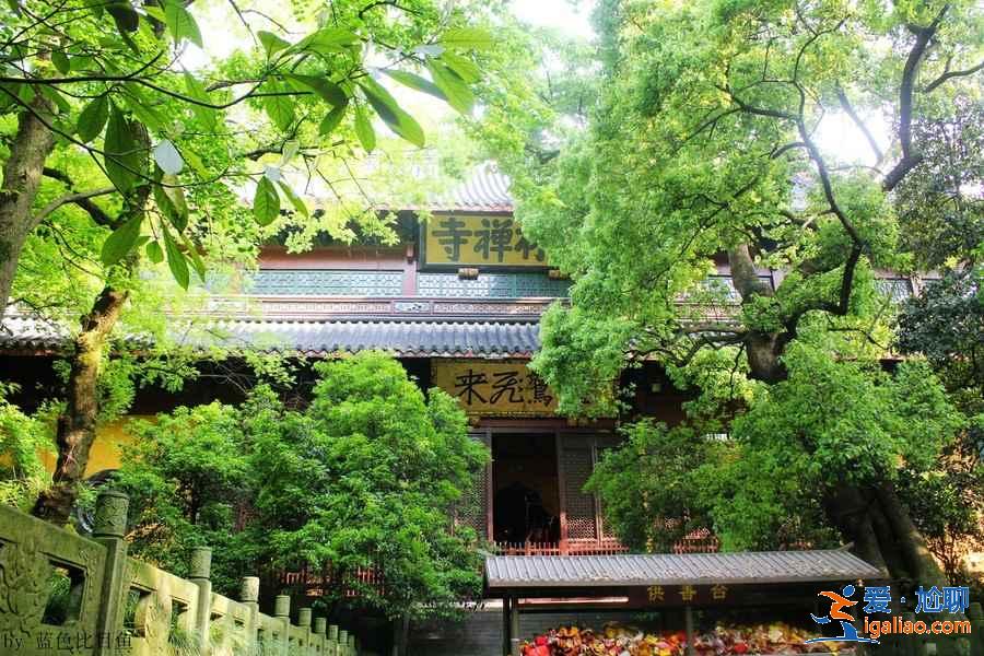 杭州哪里适合拍照,杭州哪里拍照好看,盘点那些适合拍照的地方? 杭州哪里适合拍照,杭州哪里拍照好看,盘点那些适合拍照的地方?