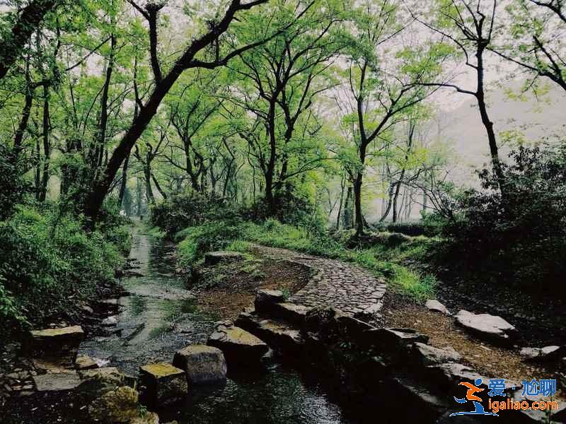 杭州适合拍照的地方,杭州网红拍照胜地,杭州拍照好去处? 杭州适合拍照的地方,杭州网红拍照胜地,杭州拍照好去处?