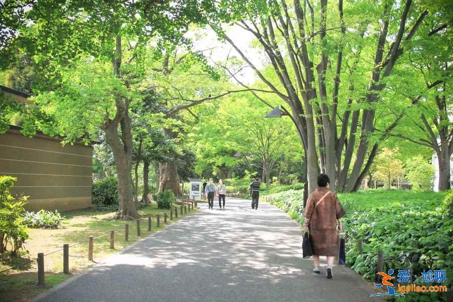 东京三日游路线推荐，东京三日游怎么安排？