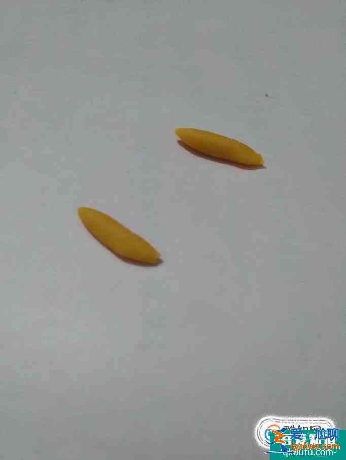手工奖杯制作方法？