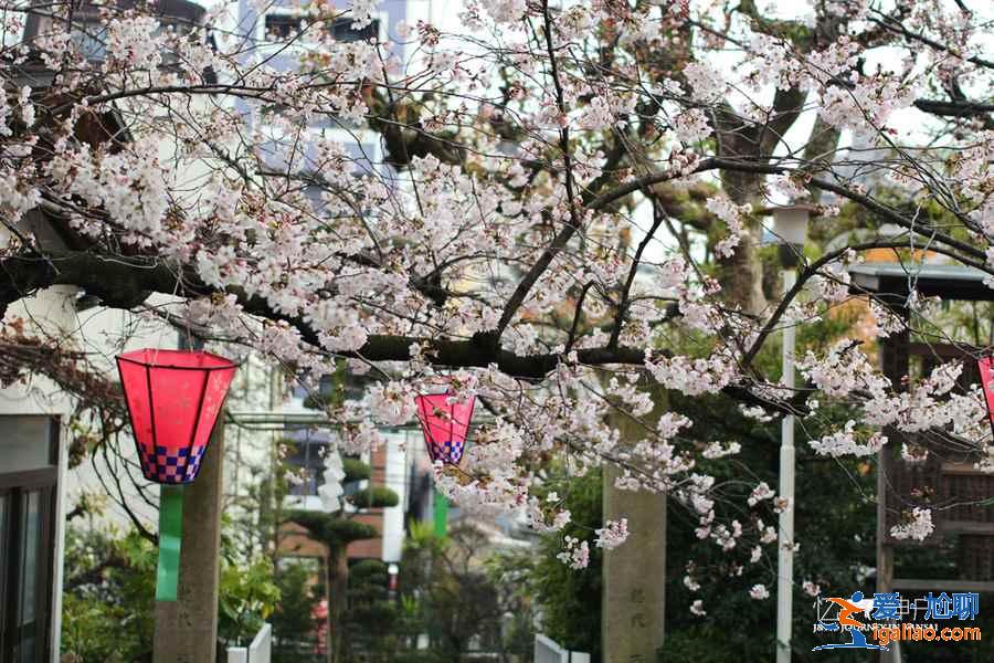 大阪怎么去神户，大阪去神户方便吗，大阪到神户交通攻略？
