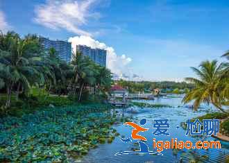 【五一去看海】2019五一哪里可以看海，五一去哪里看海？