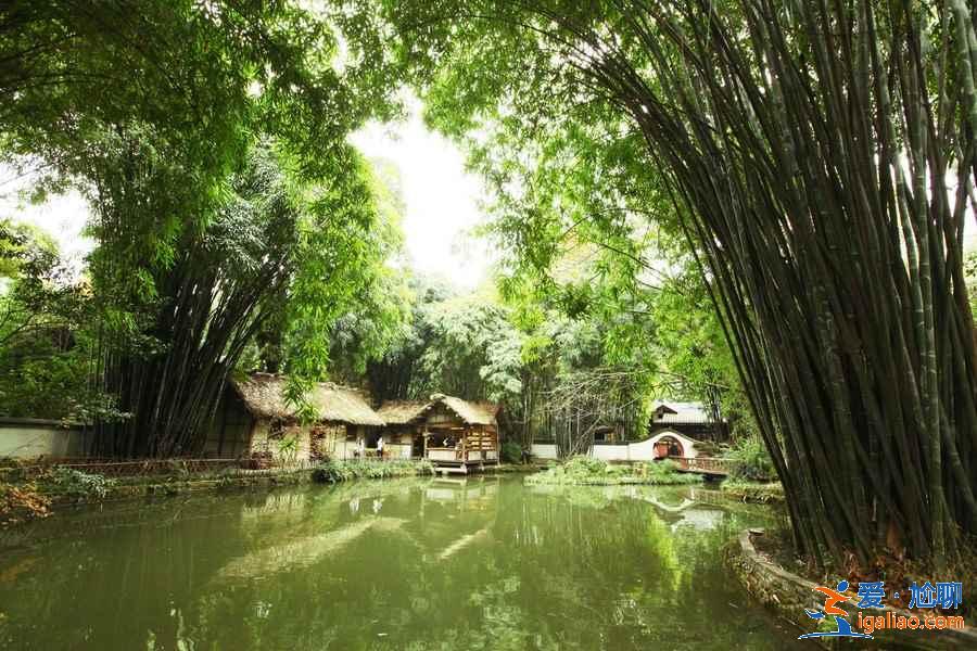 五一假期去成都必游景点，五一去成都可以玩哪些景点，五一成都旅游去哪玩？