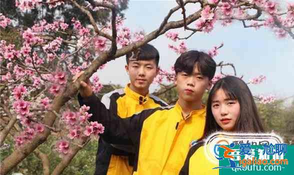 在学校如何处理人际关系？