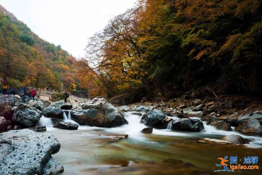 成都到光雾山多少公里，成都到光雾山自驾路线？