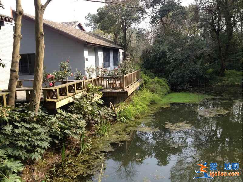 杭州植物园有哪些景点？杭州植物园游玩攻略？