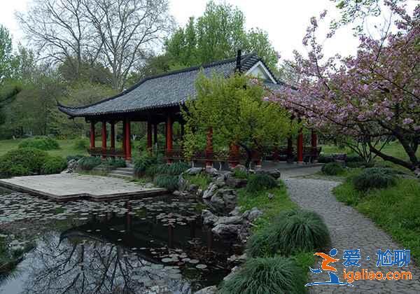 杭州植物园有哪些景点？杭州植物园游玩攻略？