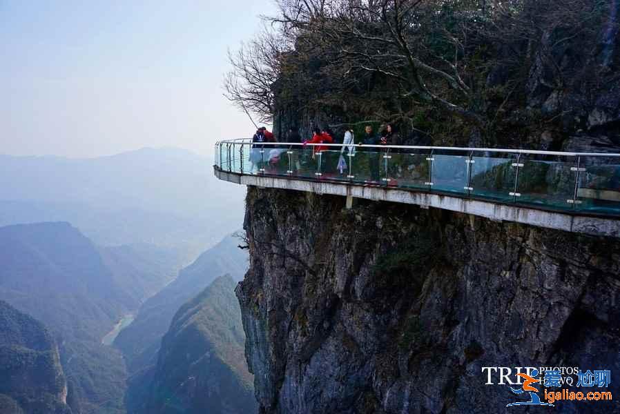 张家界大型景区有哪些，张家界景区游玩攻略，张家界哪个景区好玩？