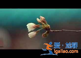 武汉自驾游去哪,周边有什么自驾游好地方,武汉自驾游攻略? 武汉自驾游去哪,周边有什么自驾游好地方,武汉自驾游攻略?