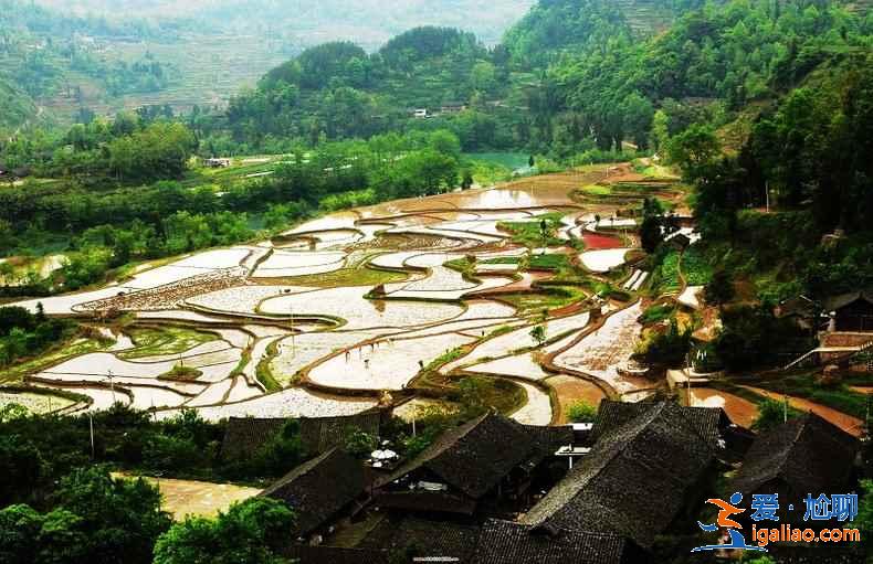 武汉自驾游去哪,周边有什么自驾游好地方,武汉自驾游攻略? 武汉自驾游去哪,周边有什么自驾游好地方,武汉自驾游攻略?